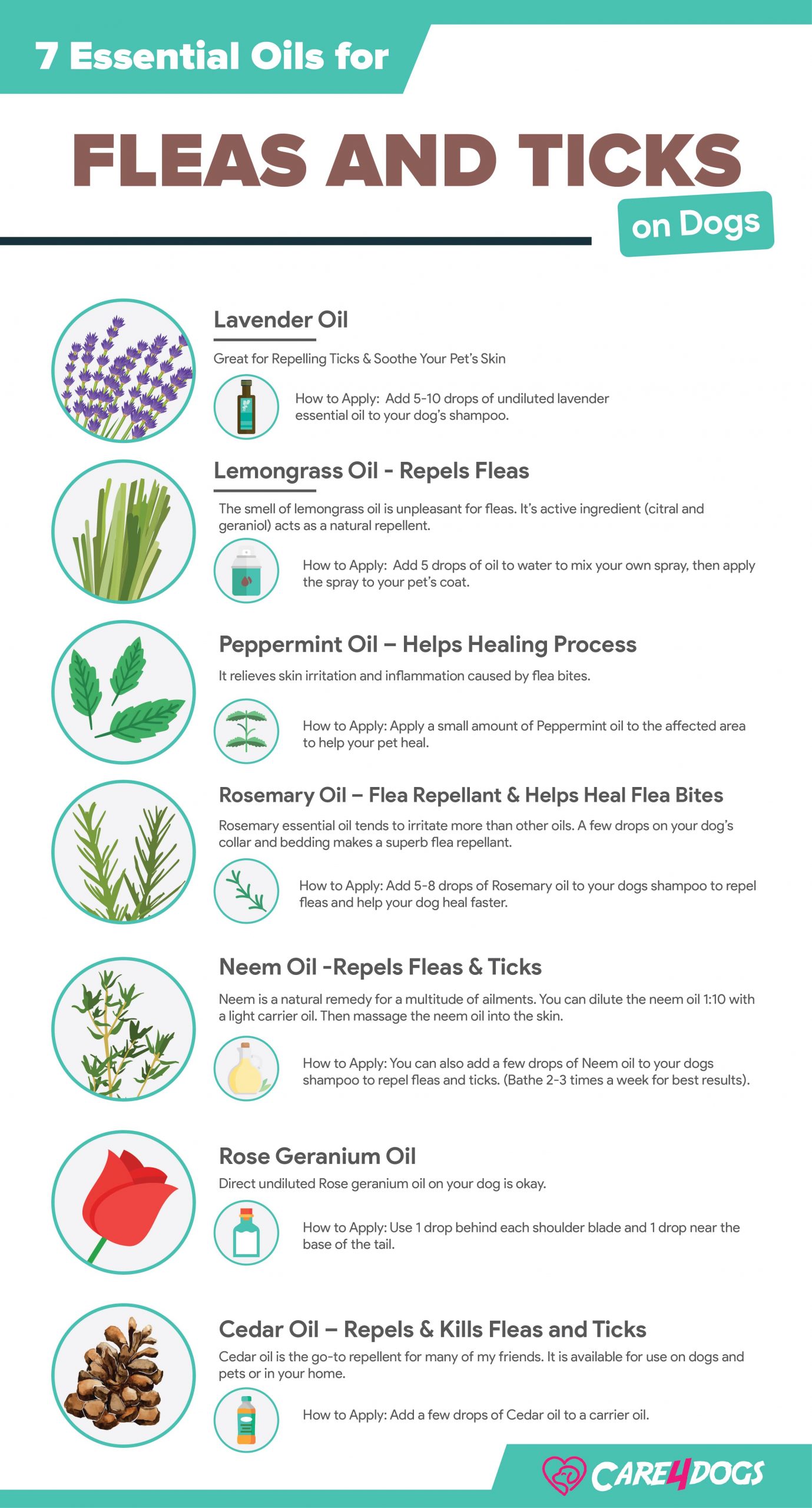 7 Essential Oils For Fleas And Ticks On Dogs 30 Toxic Ones Care4dogs